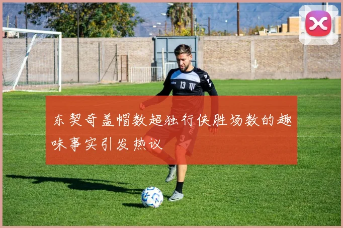 东契奇盖帽数超独行侠胜场数的趣味事实引发热议