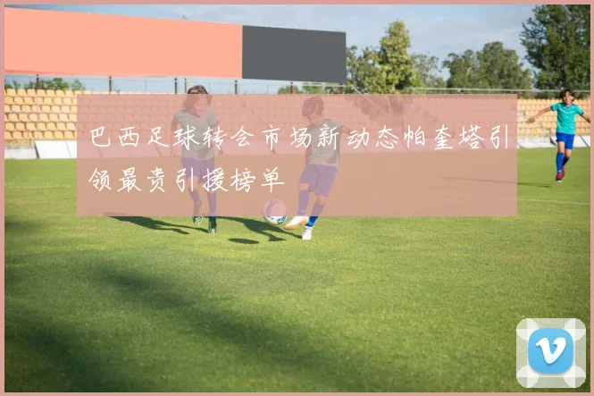 巴西足球转会市场新动态帕奎塔引领最贵引援榜单