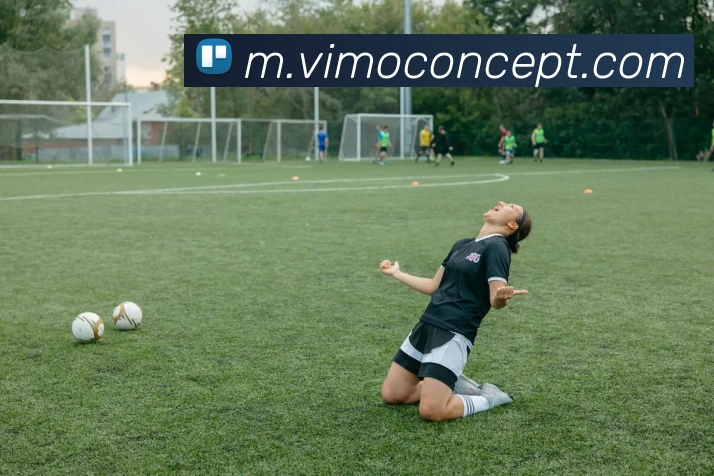 开云体育APP 封面图